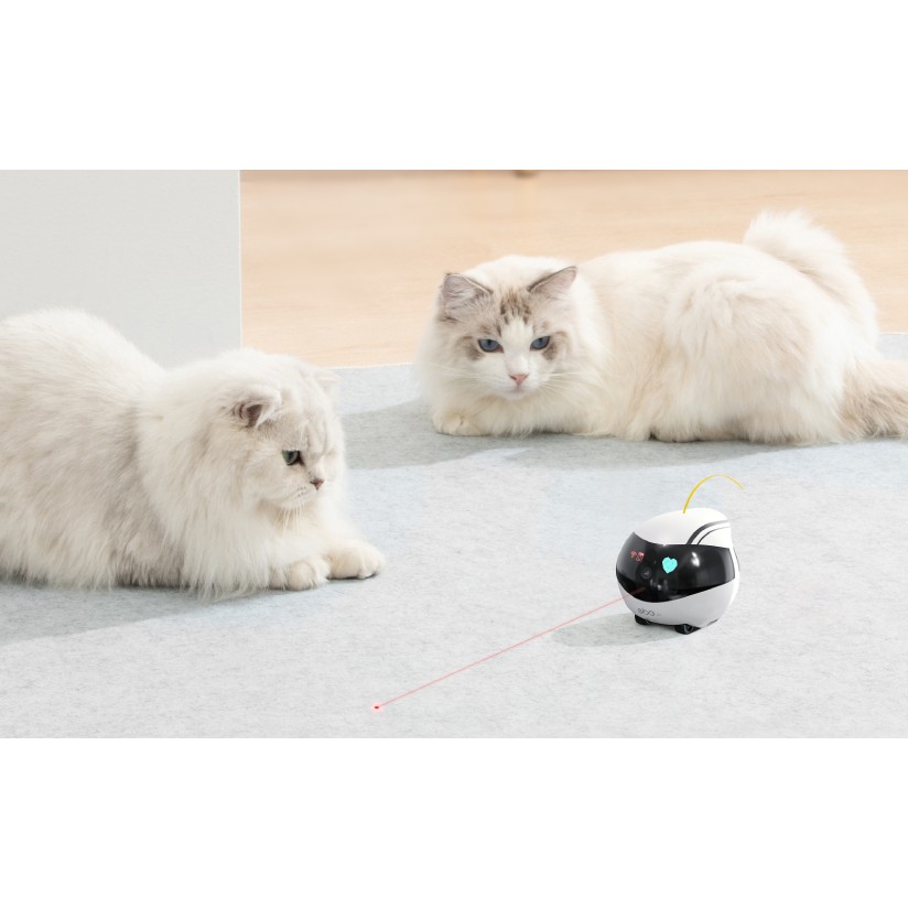 Robot Kamerë ENABOT EBO Air – Robot me kamerë 1080p, ndjekje me inteligjencë artificiale (AI) - e bardhë - Figura 3