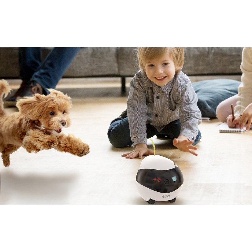 Robot Kamerë ENABOT EBO Air – Robot me kamerë 1080p, ndjekje me inteligjencë artificiale (AI) - e bardhë - Figura 5