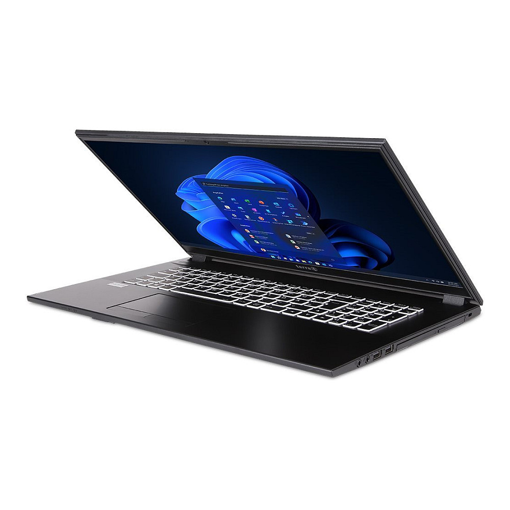 Laptop Terra Mobile 1716R / i5-1334U / 16GB DDR4 / 500GB / 17.3" Full HD / Intel Iris Xe Graphics / DE - Gri - Figura 2