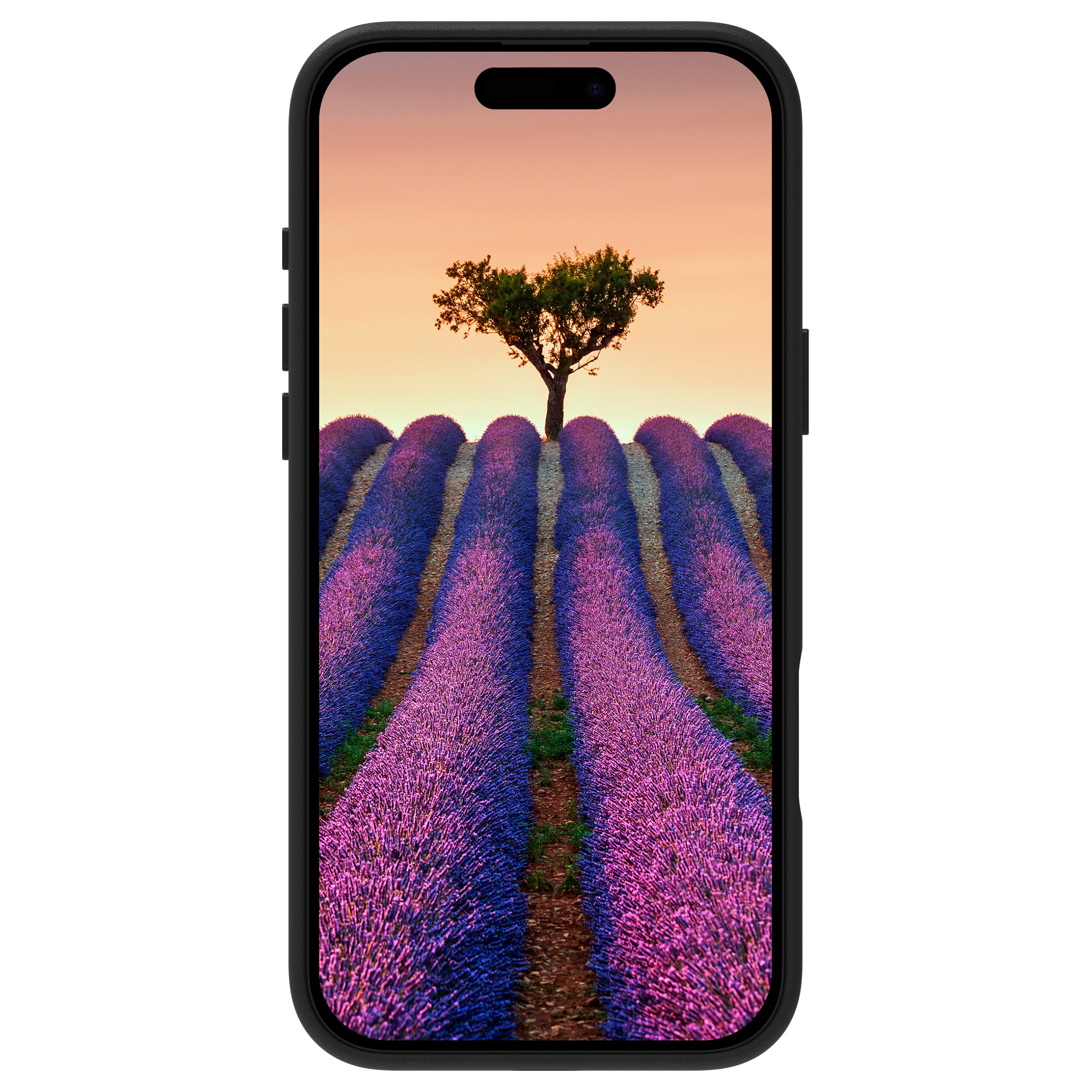 Aksesorë për telefon dbramante1928 Roskilde Leather Back Cover Case / for Apple iPhone 17 Pro Max / MagSafe Compatible – Zezë - Figura 5