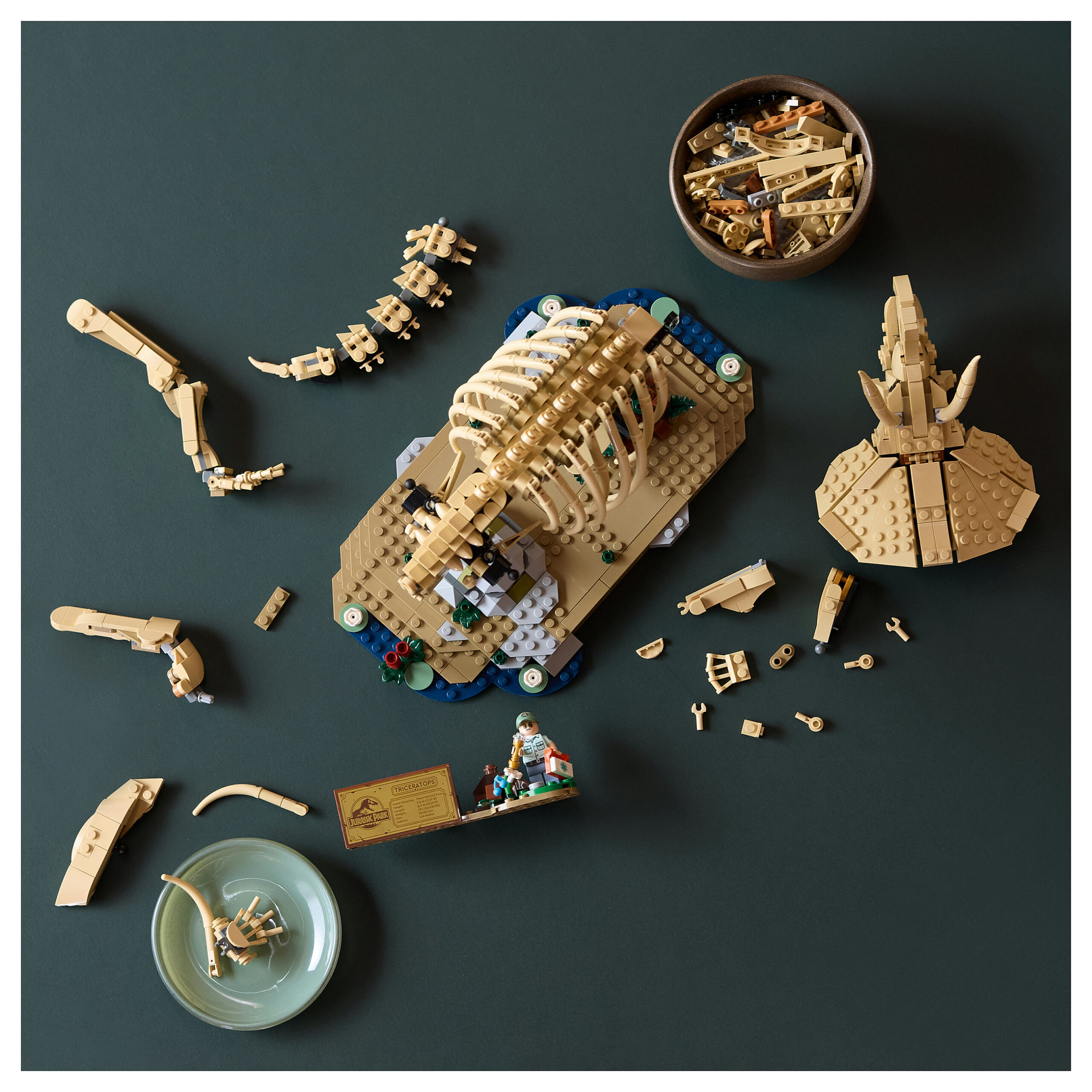 LEGO Dinosaur Fossils: Tricerato 77985 - Figura 4