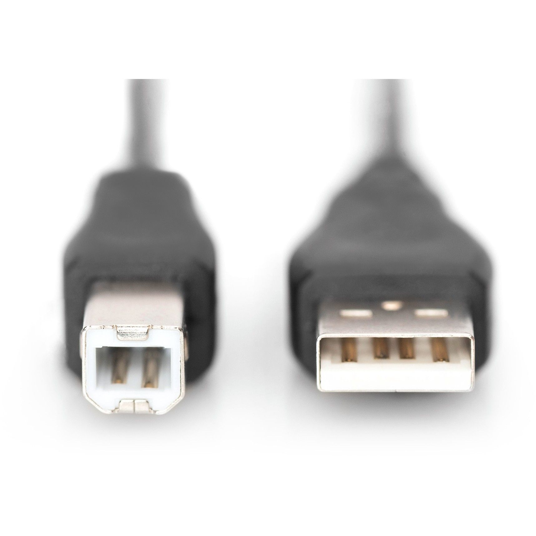 Kabllo DIGITUS USB 2.0 / Typ A → Typ B / Plug–Plug / 1.0m / Zezë - Figura 2