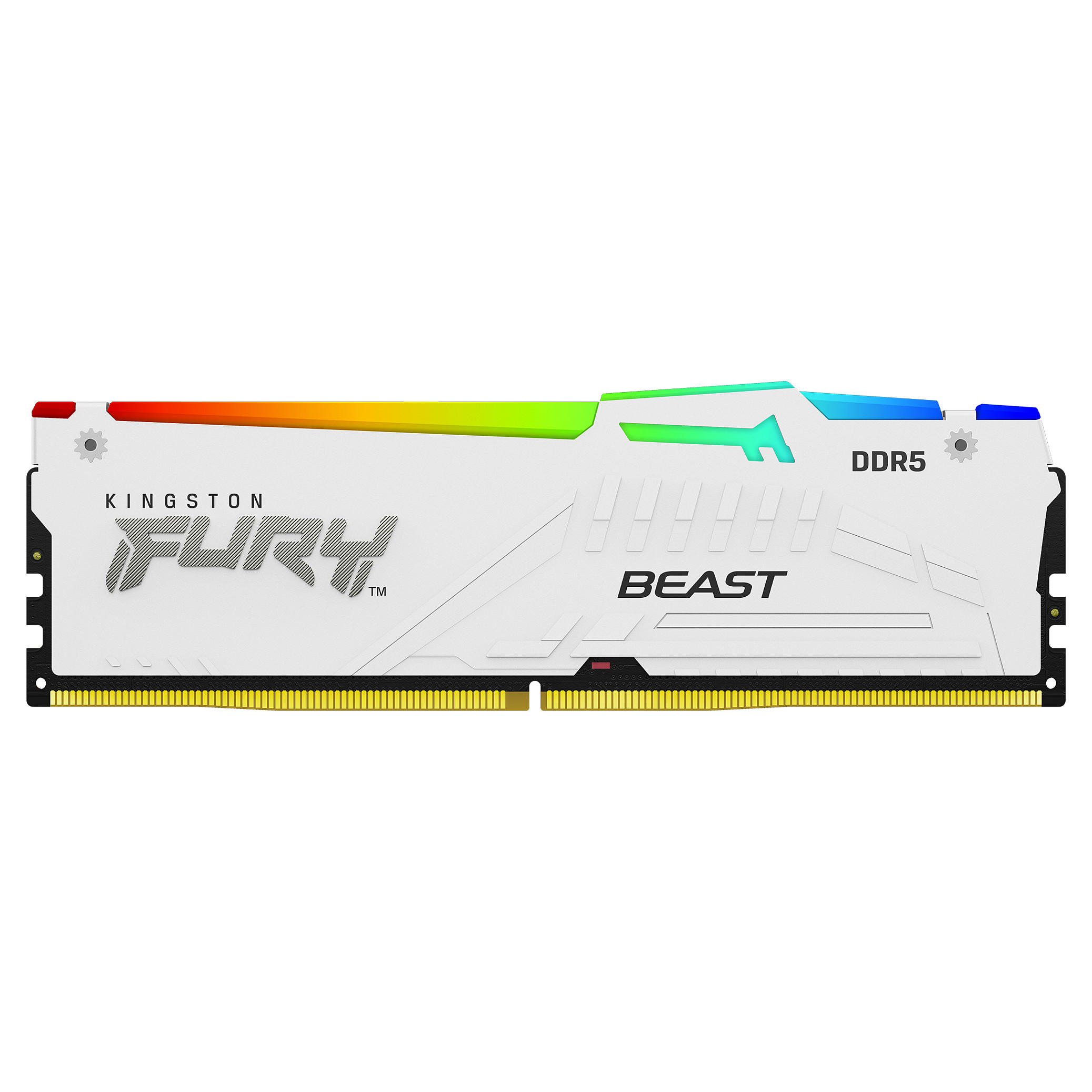 RAM Memorie DDR5 KINGSTON FURY Beast DIMM 64GB(2x32GB) 5600MT/s CL40 - Figura 3