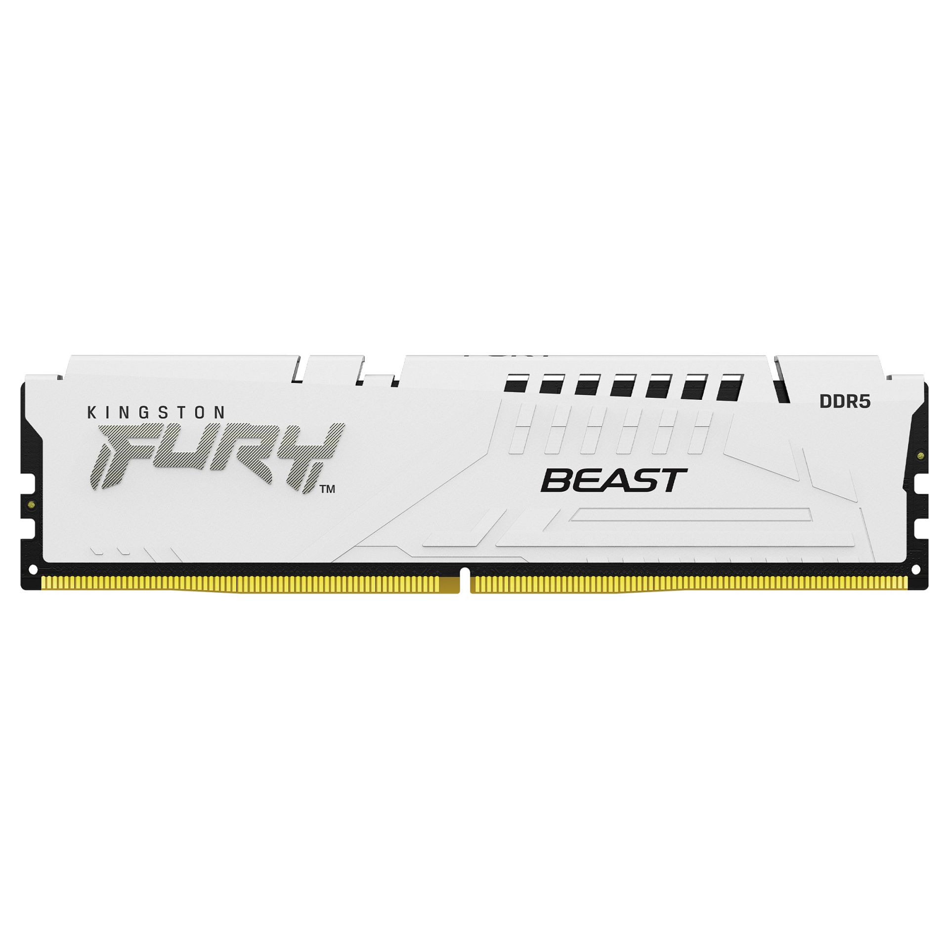RAM Memorie DDR5 KINGSTON 16GB 6000MT/s CL36 DIMM FURY Beast EXPO - Figura 2