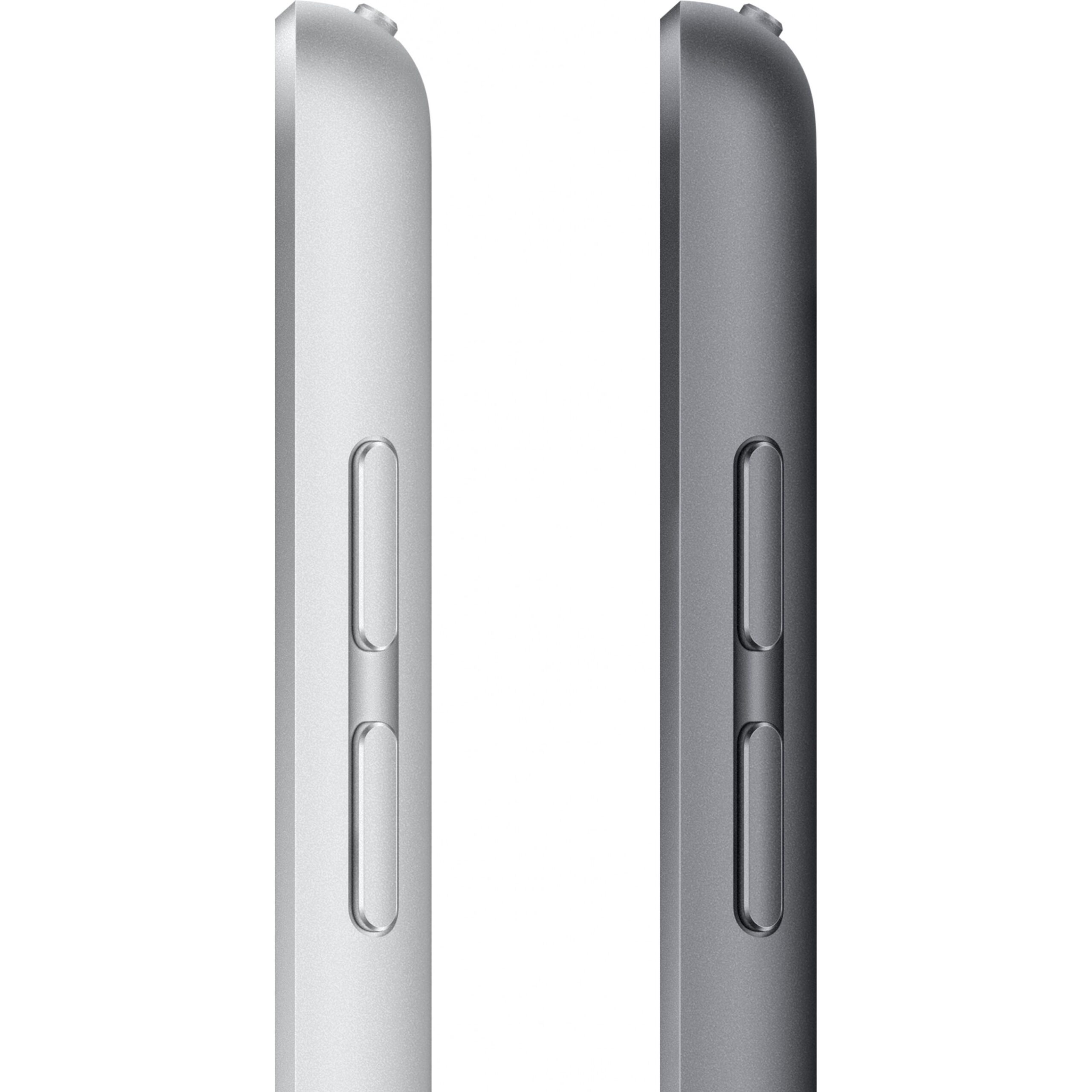 Apple iPad 10.2" A13 / Wi-Fi / 256GB / 9.Gen - Gri - Figura 5