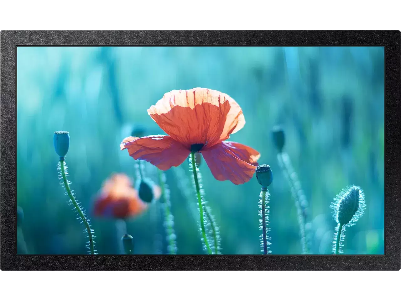 Monitor Samsung QB13R-M / LH13QBRMBGCXEN / 13"/ Full HD ADS / LCD / 60Hz / 30ms / HDMI+USB - Zezë