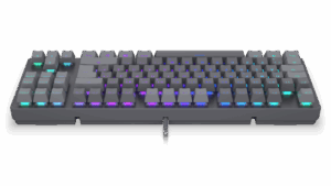 Tastierë Gaming ENDORFY Thock V2 TKL Red Switches / German Language - Gri