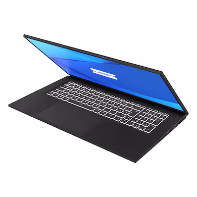 Laptop Schenker WORK 17-M23qks / i7-1360P / 16GB DDR5 / 1TB / 17.3" Full HD IPS 60Hz / Intel Iris Xe Graphics / DE - Zezë - Figura 4