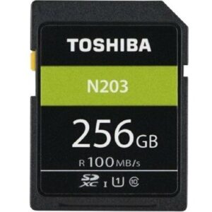 Kartë Memorie SD Toshiba 256GB SDXC Exceria N203 R100
