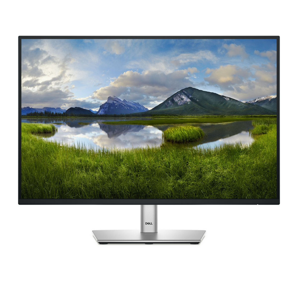 Monitor Dell P2425E / 210-BMJF / 24"/ WUXGA IPS / LCD / 100Hz / 5ms / HDMI+USB+DP - Zezë / Argjend