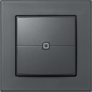 Homematic IP Wandtaster - 2-fach. anthrazit